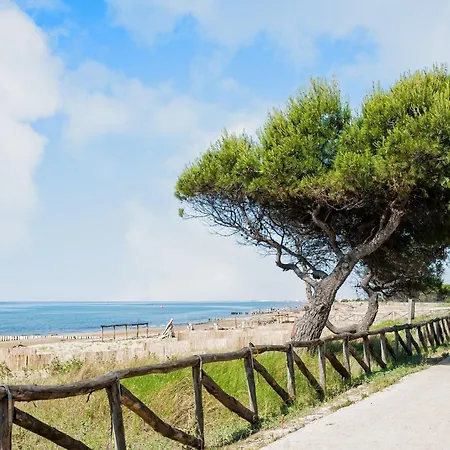 Apartman Sea Breeze Just 200 Mt From The Sea *